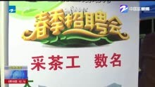 杭州：专场招聘就地“抢人” 解决采茶用工难题