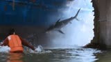 超强台风：台风天海水倒灌遇鲨鱼，市长拿着木锤和它干
