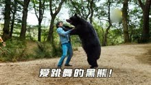 大黑熊抓住男人，当场就欢快的跳起了舞蹈！