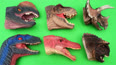 各种恐龙玩具体验玩具