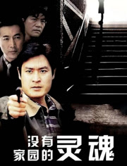 没有家园的灵魂