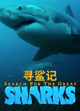 寻鲨记}
