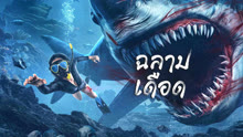ดู ออนไลน์ ฉลามเดือด (2023) ซับไทย พากย์ ไทย