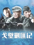 戈壁剿匪记}