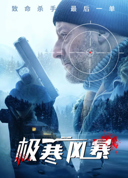 极寒风暴国语