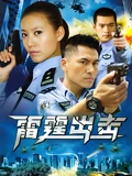 要案组雷霆出击}