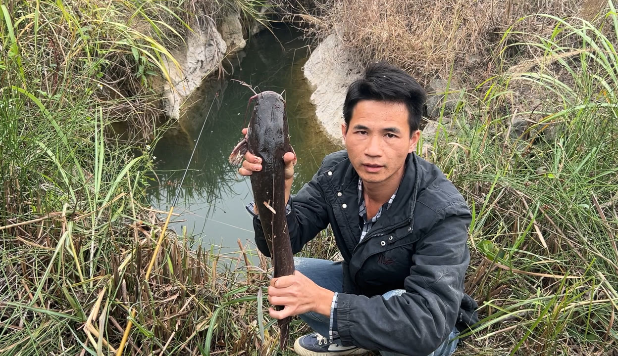 壮乡小莫个人资料图片