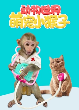 动物世界萌宠小猴子}