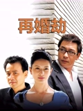 再婚劫}