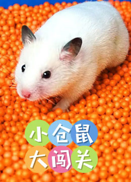 小仓鼠大闯关