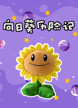 向日葵历险记