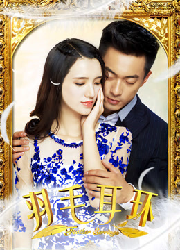 羽毛耳环