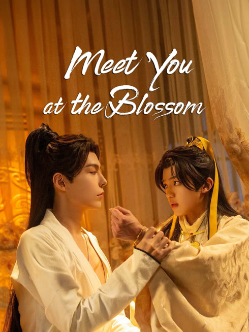  Meet You at the Blossom Legendas em português Dublagem em chinês