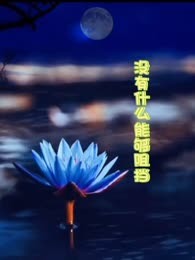 《没有什么能够阻挡》