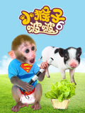 小猴子啵啵 第6季