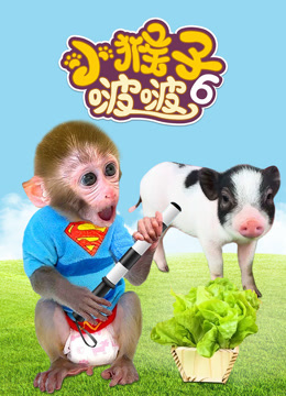 小猴子啵啵第六季