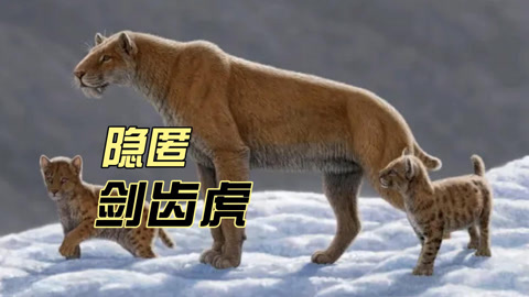 伪剑齿虎恐猫图片