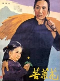苦菜花}