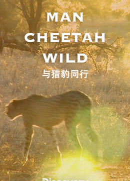 与猎豹同行