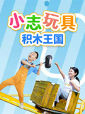 小志玩具积木王国