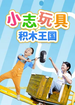 小志玩具积木王国}