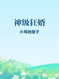 神级狂婿
