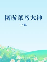 网游菜鸟大神
