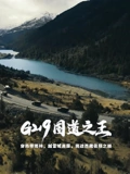 海报背景
