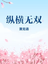 纵横无双
