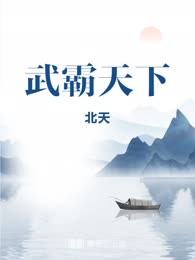 武霸天下
