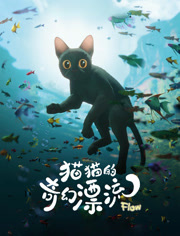 猫猫的奇幻漂流