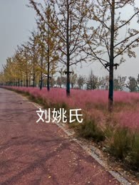 刘姚氏
