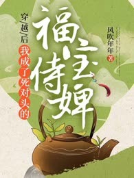 穿越后，我成了死对头的福宝侍婢