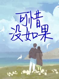 可惜没如果