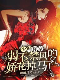 少帅，你家弱不禁风的娇花又掉马了