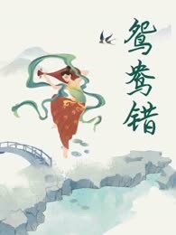 鸳鸯错