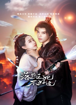 落跑王妃不好追