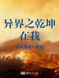 异界之乾坤在我
