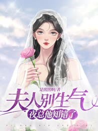 夫人别生气夜总他知错了