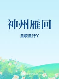 神州雁回
