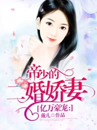 甜蜜豪宠：帝少的二婚娇妻