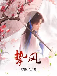 挚风