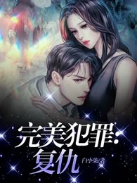 完美犯罪：复仇