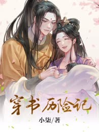 穿书历险记