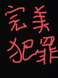 完美犯罪手册
