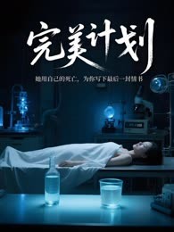 完美计划