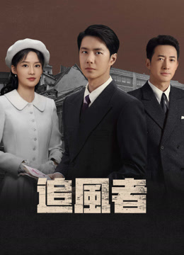 線上看 追風者 (2024) 帶字幕 中文配音，國語版