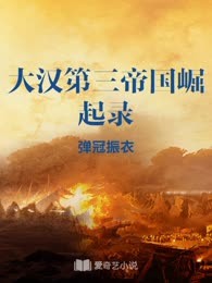 大汉第三帝国崛起录
