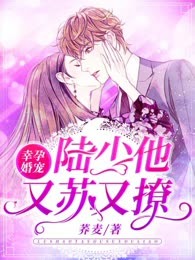 幸孕婚宠：陆少他又苏又撩