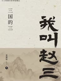 我叫赵三——三国的三